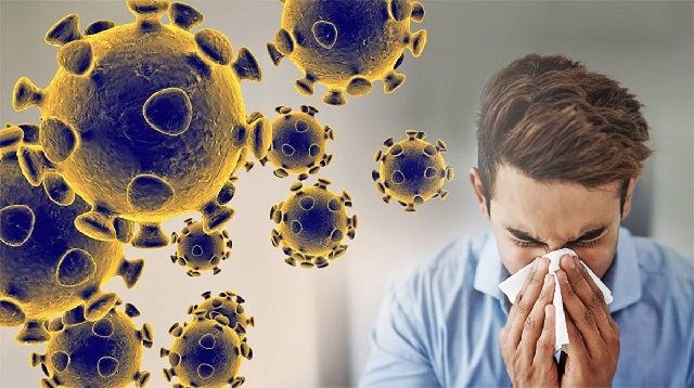 Massage giúp tăng cường sức đề kháng